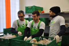 Profis bei der Arbeit